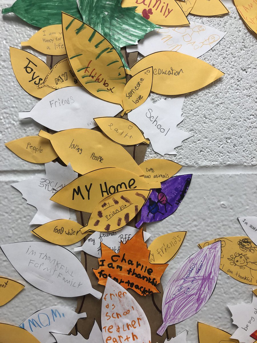 Ann-Marie Parsons tweet media