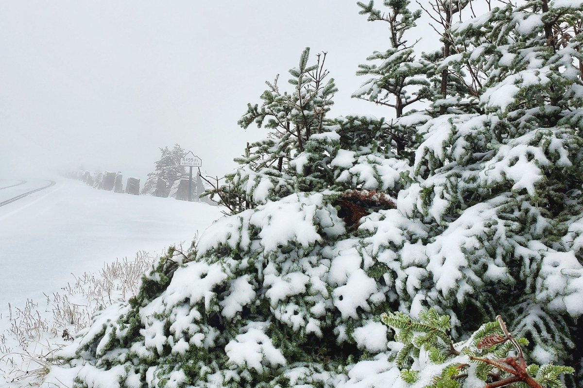 SkiWhiteface's tweet photo. Here we go❄

#WhitefaceMountain #Lakeplacid #snow #snowing #NYLoveWinter #ISpyNY #SkiTheFACE #Winter  #SkiTheEast #SkiADK #ISkiNY https://t.co/7tTzbBovL2