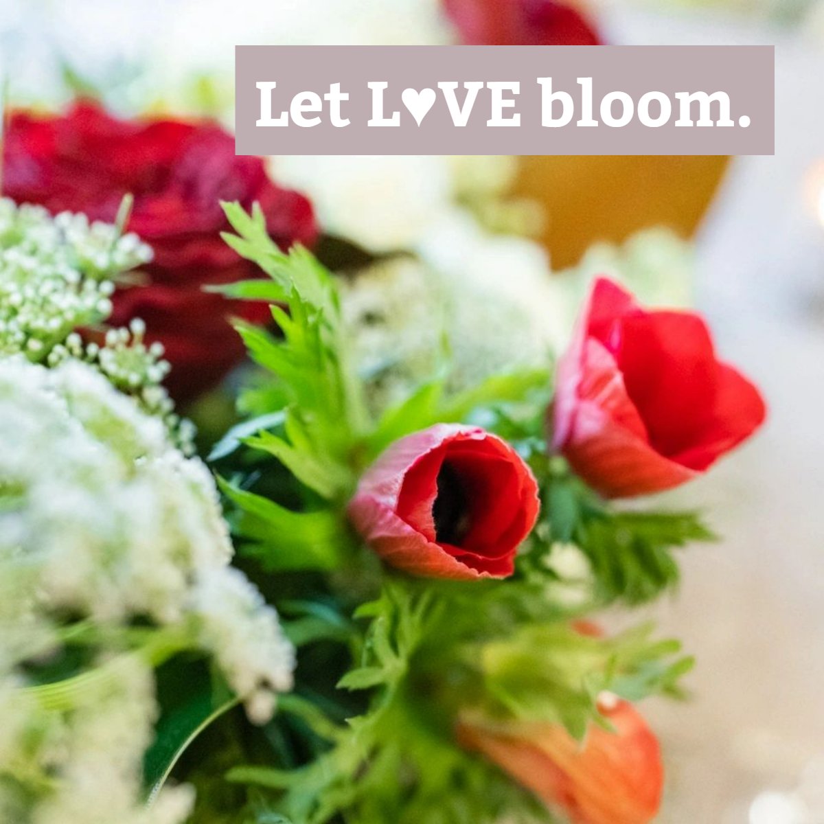 TreBellaEvents's tweet image. We’re serious about a few things: beauty, creativity, and love. For more than a decade, we’ve shared these passions with our community, and recently added floral design to offer our brides the total package. Let us make magic for you!