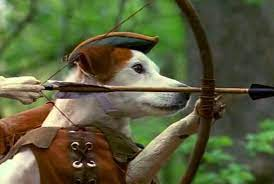 ToddGalway's tweet photo. @nerdist They really missed the mark on casting for the dog in Disney's #Hawkeye when this guy is available https://t.co/WmRsAq7EKR