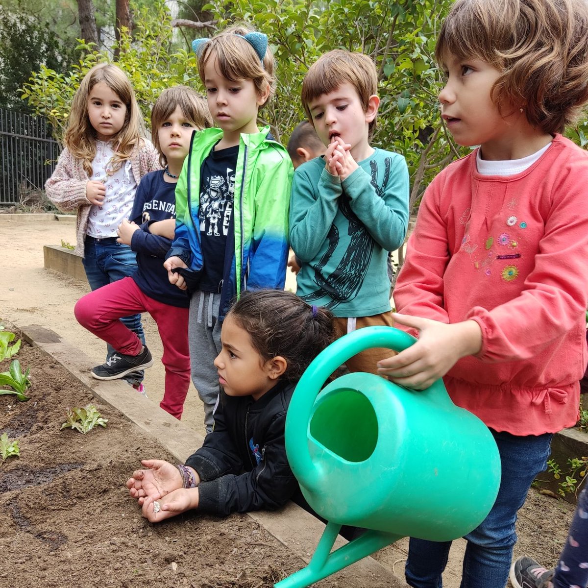 L'activitat a l'Hort continua... Dijous, els nois i noies de 4t, van preparar les parcel·les per què els nens i nenes d'i5 poguessin plantar els enciams.  Les varietats que van plantar són: fulla de roure, meravella i romà. #fentbaloo #hort #enciams #fentcooperació #ensajudem