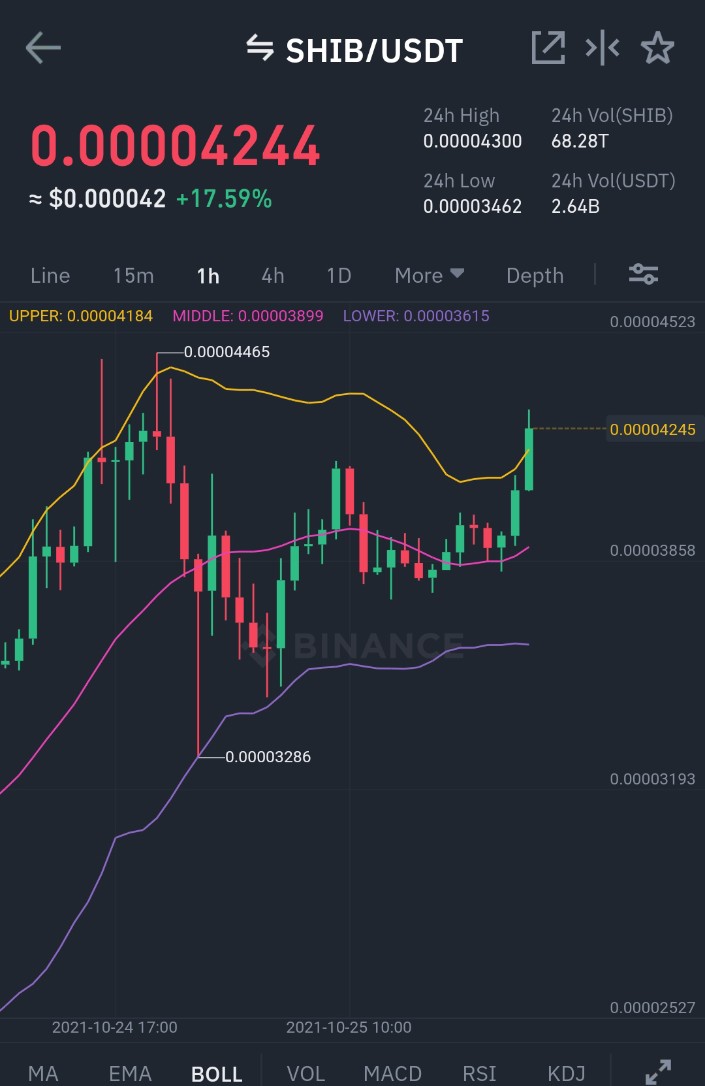 SHIB HODLER tweet media