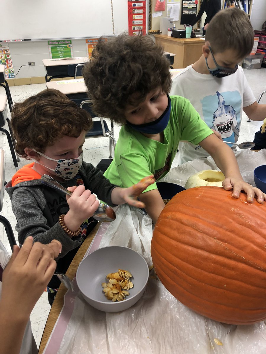 Colleen Fisher tweet media