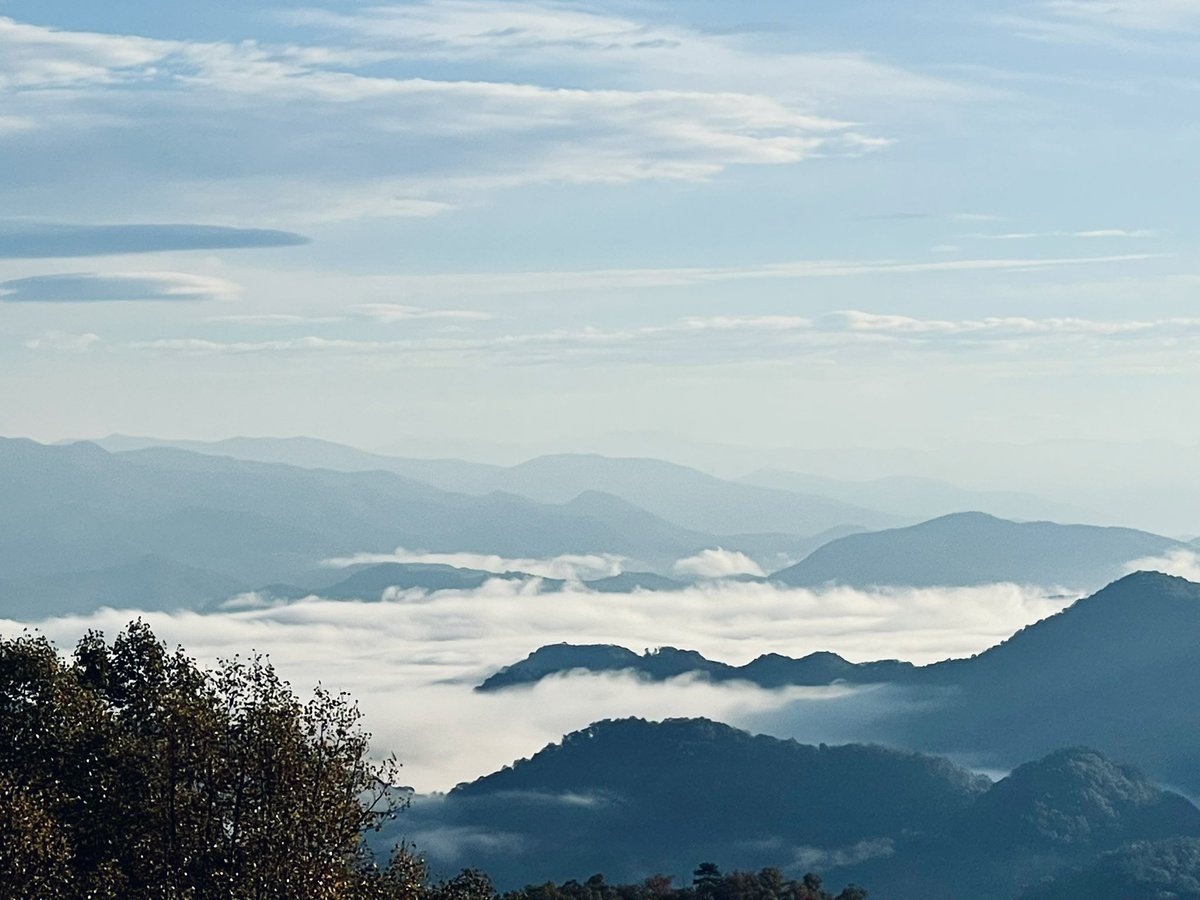 SnippySpree's tweet photo. “Great Smoky Mountains” 2021 https://t.co/GIKQbGc4kL