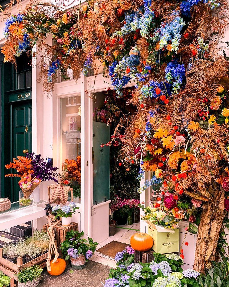 visitlondon's tweet image. Autumn leaves and pumpkin please! 🎃  #LetsDoLondon #VisitLondon [📸 via IG @ritafarhifinds]