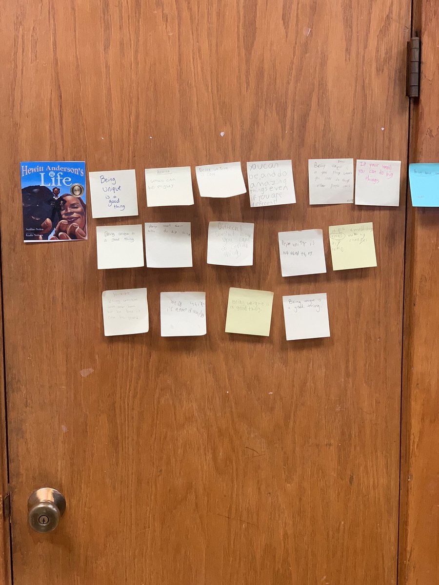 Stay true to who you are; Don’t Make Promises You Can’t Keep; You are never alone…just a few of the wonderful themes students have uncovered from our mentor texts.