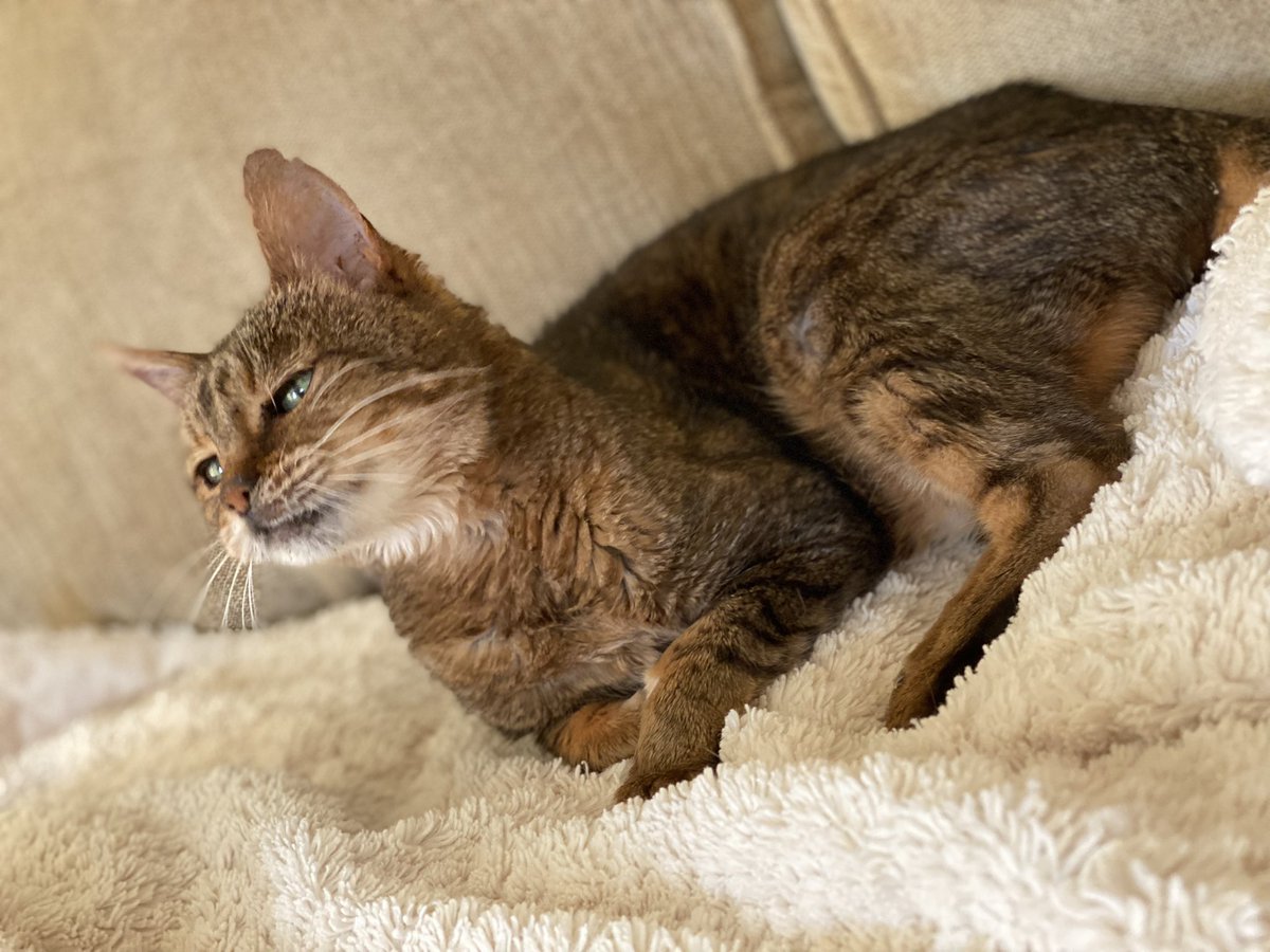 Thank you ❤️🧡💛💚💙