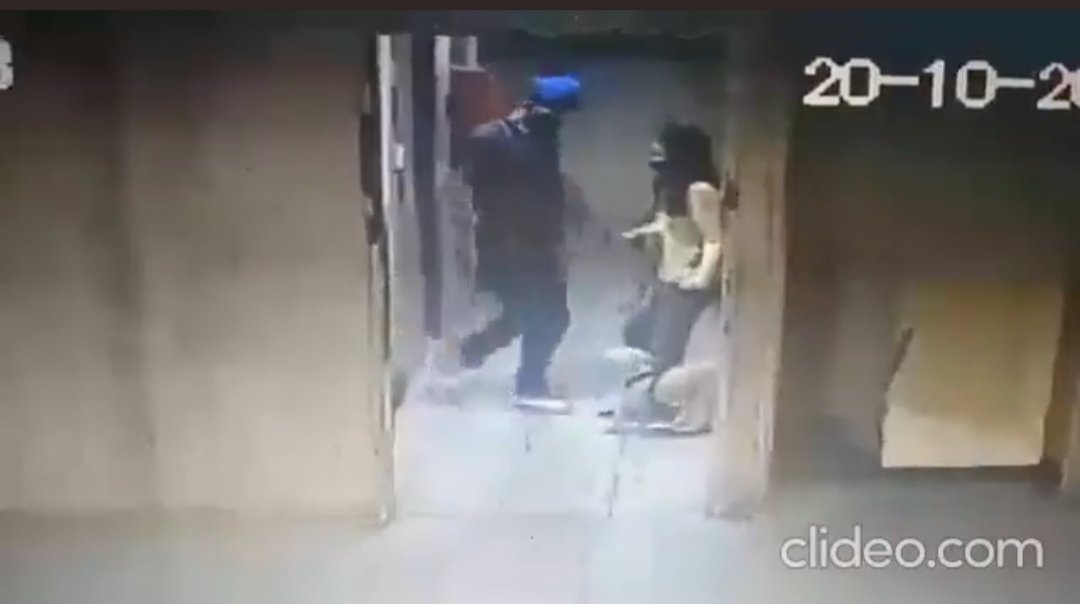 BeGreen_org's tweet photo. El perro era compañero guía de una discapacitada visual. El atacante fue identificado como Omar Antonio de Jesús Marrero, que actualmente le son imputado délitos por maltrato animal. https://t.co/GYbzr9ORDA