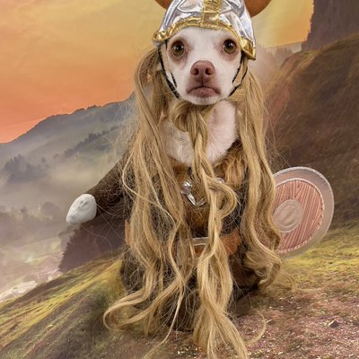 adventuregirl's Photo