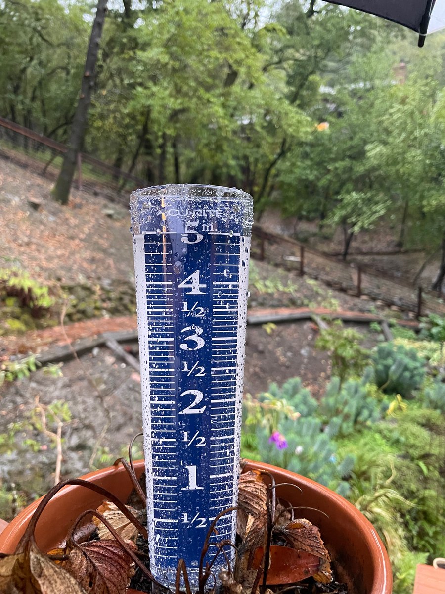 fuswp's tweet photo. @NWSBayArea My rain gauge in southern San Rafael measured 5” (7pm sat - 7am sun), 5” (7am sun - 545pm sun), 2” (545pm sun - 7am mon). 12”+ total rainfall https://t.co/YqePxv42l9