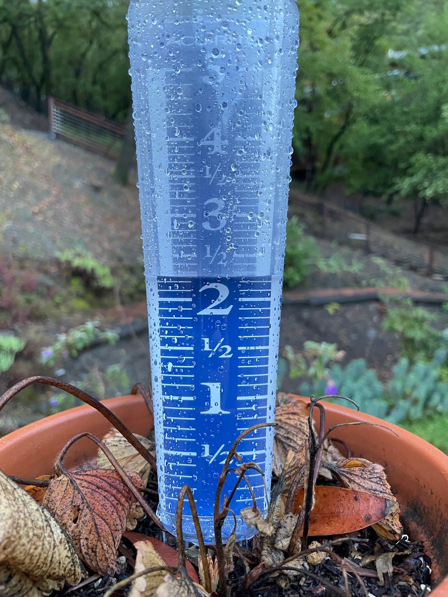 fuswp's tweet photo. @NWSBayArea My rain gauge in southern San Rafael measured 5” (7pm sat - 7am sun), 5” (7am sun - 545pm sun), 2” (545pm sun - 7am mon). 12”+ total rainfall https://t.co/YqePxv42l9