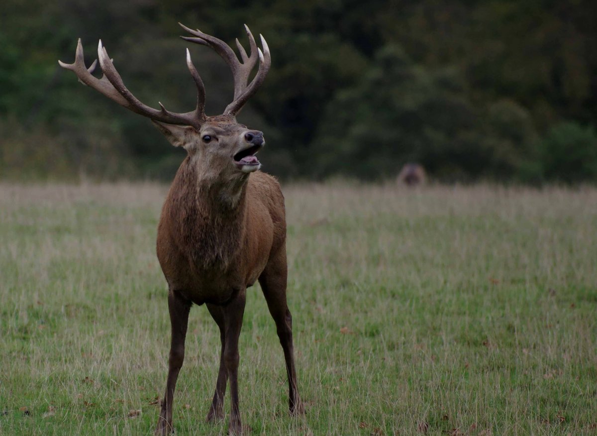 NorthDevonNT tweet media