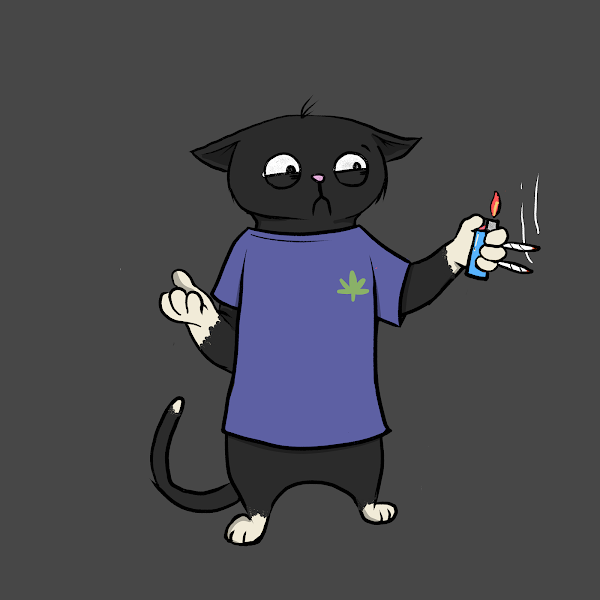 BlazedCats's tweet photo. In case you forgot, #QuantumMetadata is coming to @BlazedCats. What this means is you will be able to display any metadata retroactively on OpenSea. Costumes or your normal cat can be chosen to be displayed. This update is coming soon. #BlazedMetaData https://t.co/niDqHomRIX