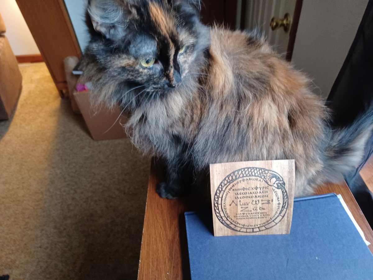 phainolis's tweet image. Iacche the Wailer (aka Magic Spokesmodel Cat) would like to remind you that there are still a few seats open for the third cohort of my online class, Ancient Greek Magic: A Linguistic Approach, which starts this Saturday, October 30. Details: greekmagicalpapyri.com/greek-courses