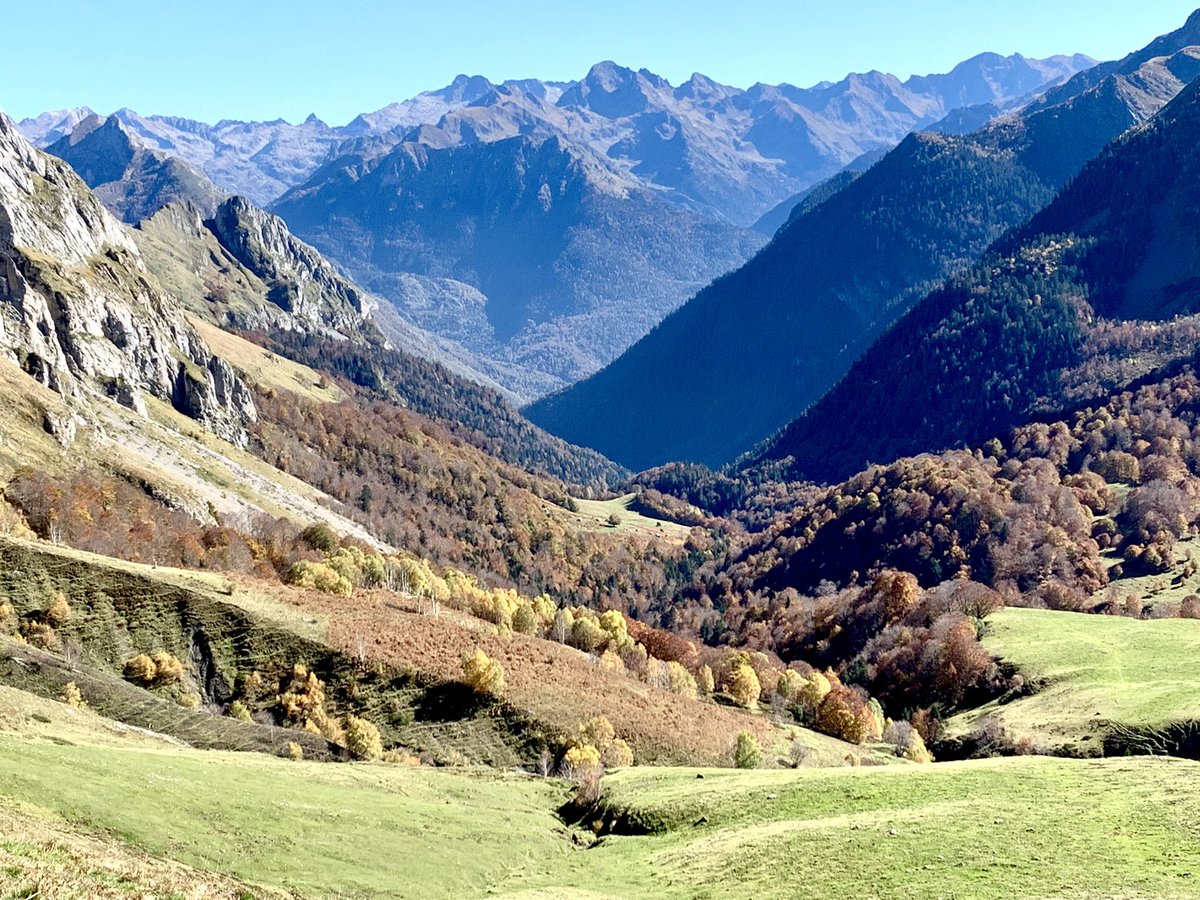 corinne_crabe's tweet photo. C’est précisément ici dans la forêt du #bitet que j’aime venir en #automne. Les couleurs y sont tellement belles, tons bruns, roux toute une palette #ossau #pyrenees https://t.co/YFJWYJTSL9