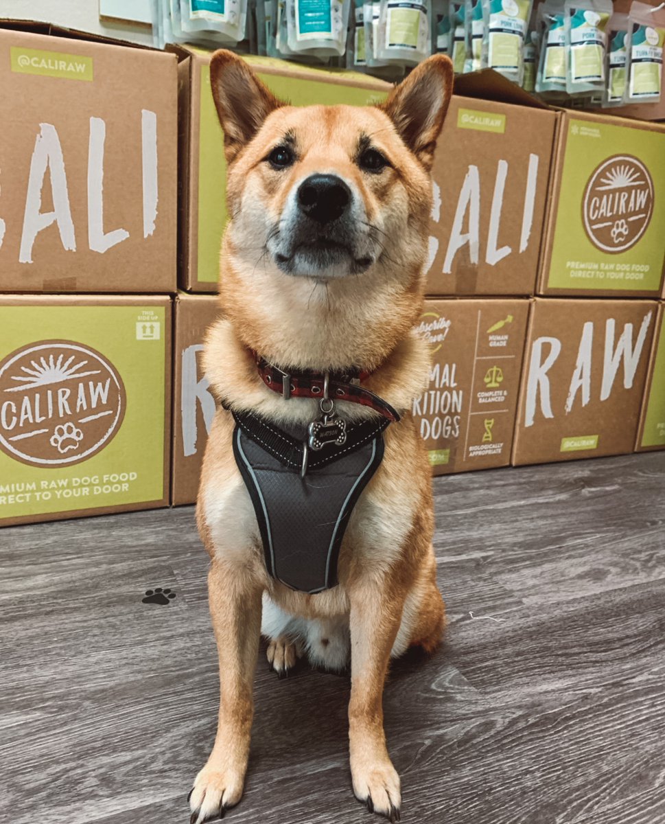 Cali Raw Nutrition (@caliraw)  X