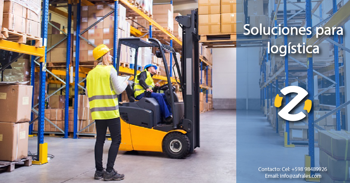 Zafrales tweet media