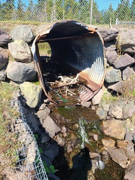 naacap's tweet photo. Over the past summer, we have visited more than 100 culverts around Placentia Bay and assessed more than 40 that are fish-bearing in order to help prioritize aquatic connectivity restoration efforts. https://t.co/AuyUtRazQE
