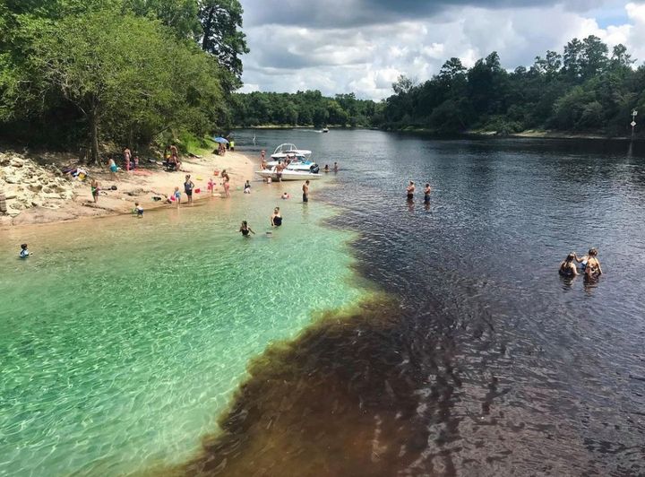 SOSMP's tweet photo. "Go out, go out I beg of you
And taste the beauty of the wild.
Behold the miracle of the earth
With all the wonder of a child."
-Edna Jaques
📷 IG @7_in_the_sun
#MotivationalMonday #Nature #MusicLivesHere #YouDoToo https://t.co/z2SYzORqvZ