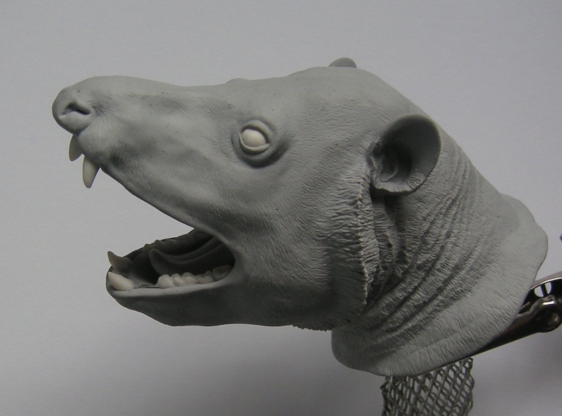 MarkusBhler10's tweet photo. It´s #WorldLemurWeek what´s surely a good chance to post photos of a reconstruction of the giant lemur Megaladapis edwardsi which I made for a small book that I published many years ago. https://t.co/vJXrBpcEt8 https://t.co/LI0ZoMZbvo