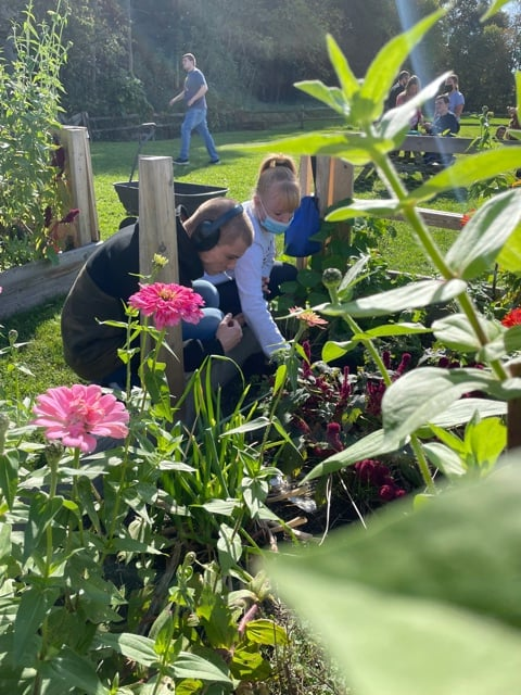 AndersonAutism's tweet photo. The beautiful fall weather means an extra-long garden season at Violet Avenue! #organicoutcomes #autism #gardening #1in54 https://t.co/qYlFrteUxj