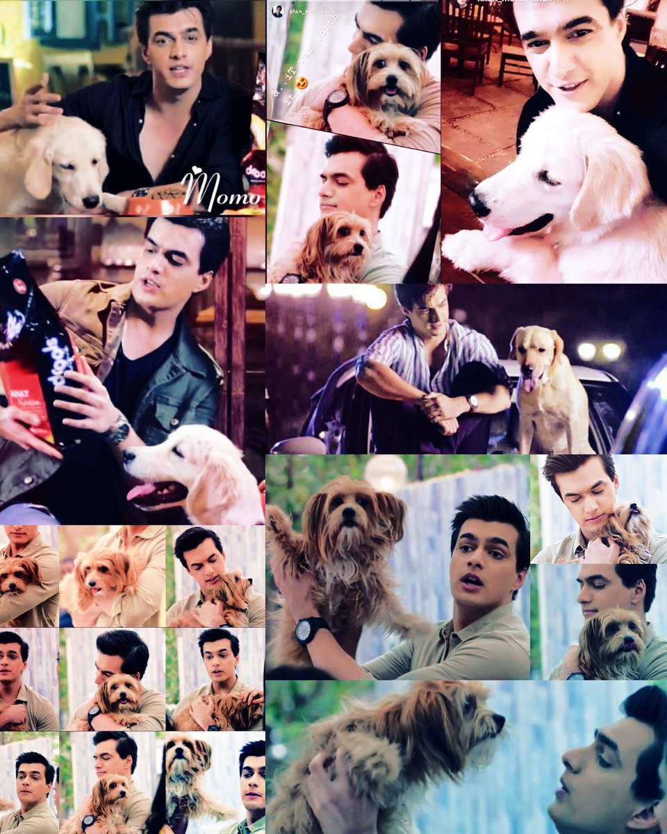 Sonali_momo_'s tweet photo. Mohsin with dogs.. So cute!! 

The way he overcame his fear.. Inspiring!! 

JANAMDIN MUBARAK MOHSIN

#HappyBirthdayMohsinKhan https://t.co/iPbCeqhIrj