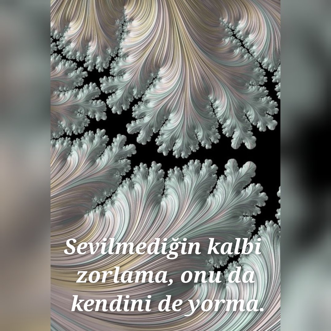 Denizyyll's tweet photo. https://t.co/GcGPEs2bi8
