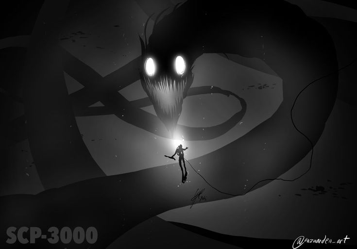 SCP-3000 vs SCP-1128 