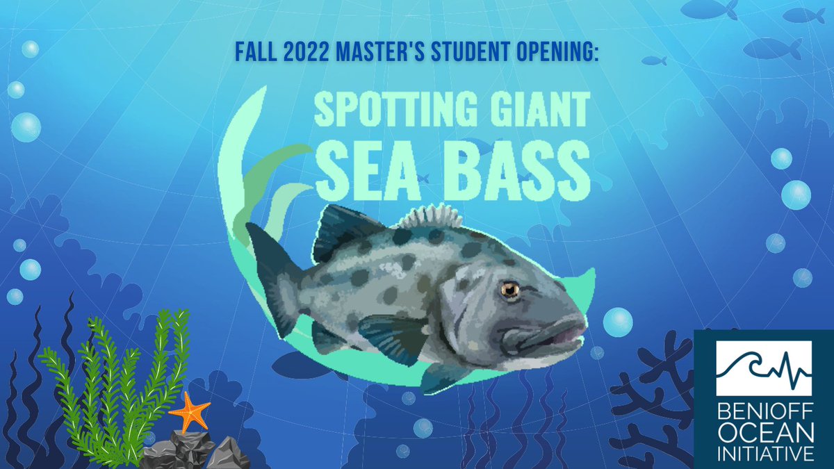 UCSBenioffOcean's tweet photo. Do you love big fish? Interested in getting a master’s degree at a world-class research university? Our Spotting Giant Sea Bass team is recruiting a full-time master’s student at @ucsantabarbara for fall 2022! Learn more and apply: https://t.co/HTbRKemiYf
#marinescience #research https://t.co/Az8YpSeLNg