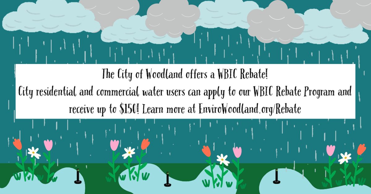 Watering your landscape is not necessary when nature is doing it for you. Remember to turn off your irrigation system when it rains (and at least 48 hours after) or use a Weather-Based Irrigation Controller (WBIC) to help monitor your watering schedule all year long.