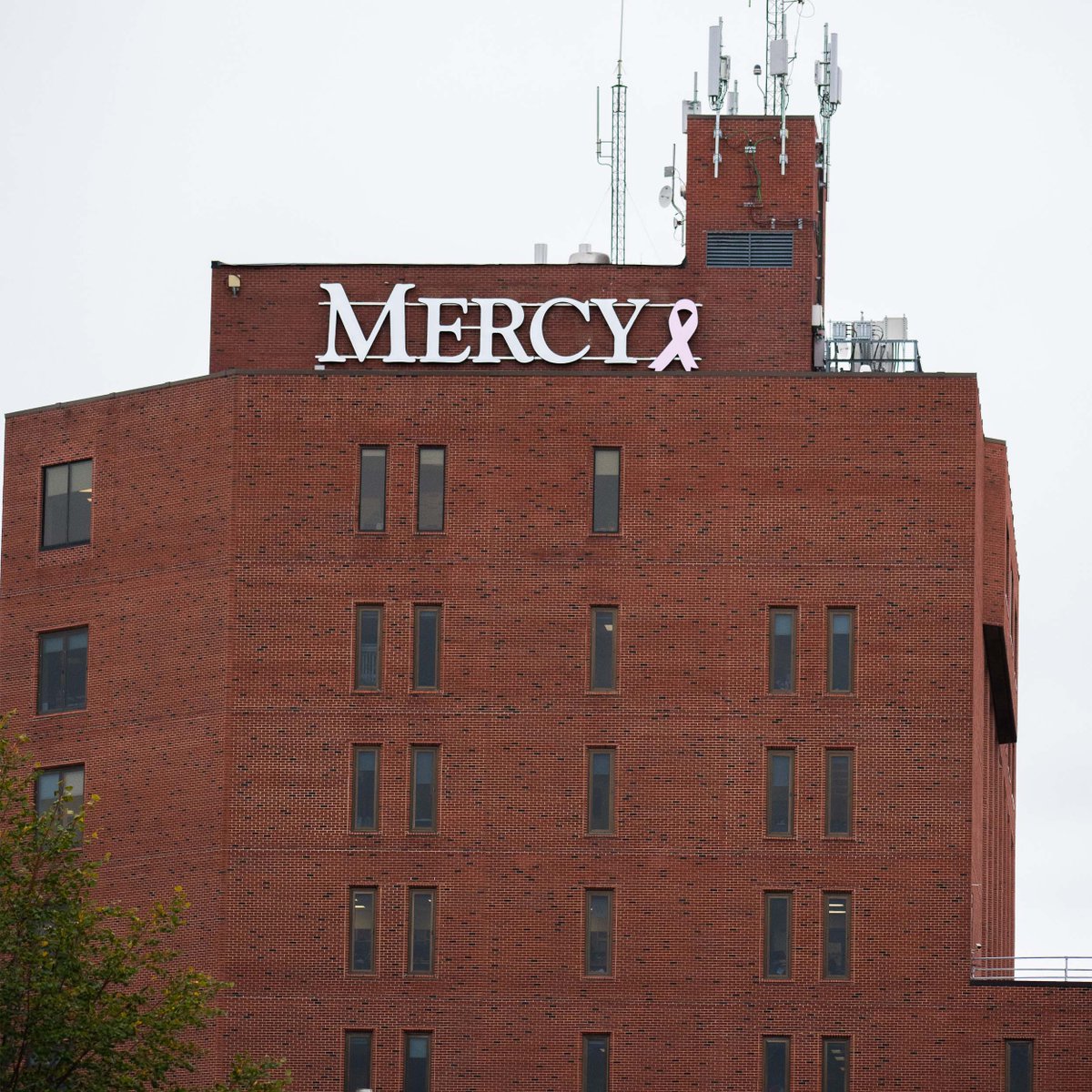 NesperSign's tweet photo. Here's a round up of all the @MercyCR signs we have completed this past month! 

#mercycedarrapids #8thand8thMedicalPark #signage #nespersign #directionalsigns #channelletters #multitenantsigns #cedarrapids #breastcancerawareness #signfabrication #signinstallation https://t.co/Emt5x5o36Q