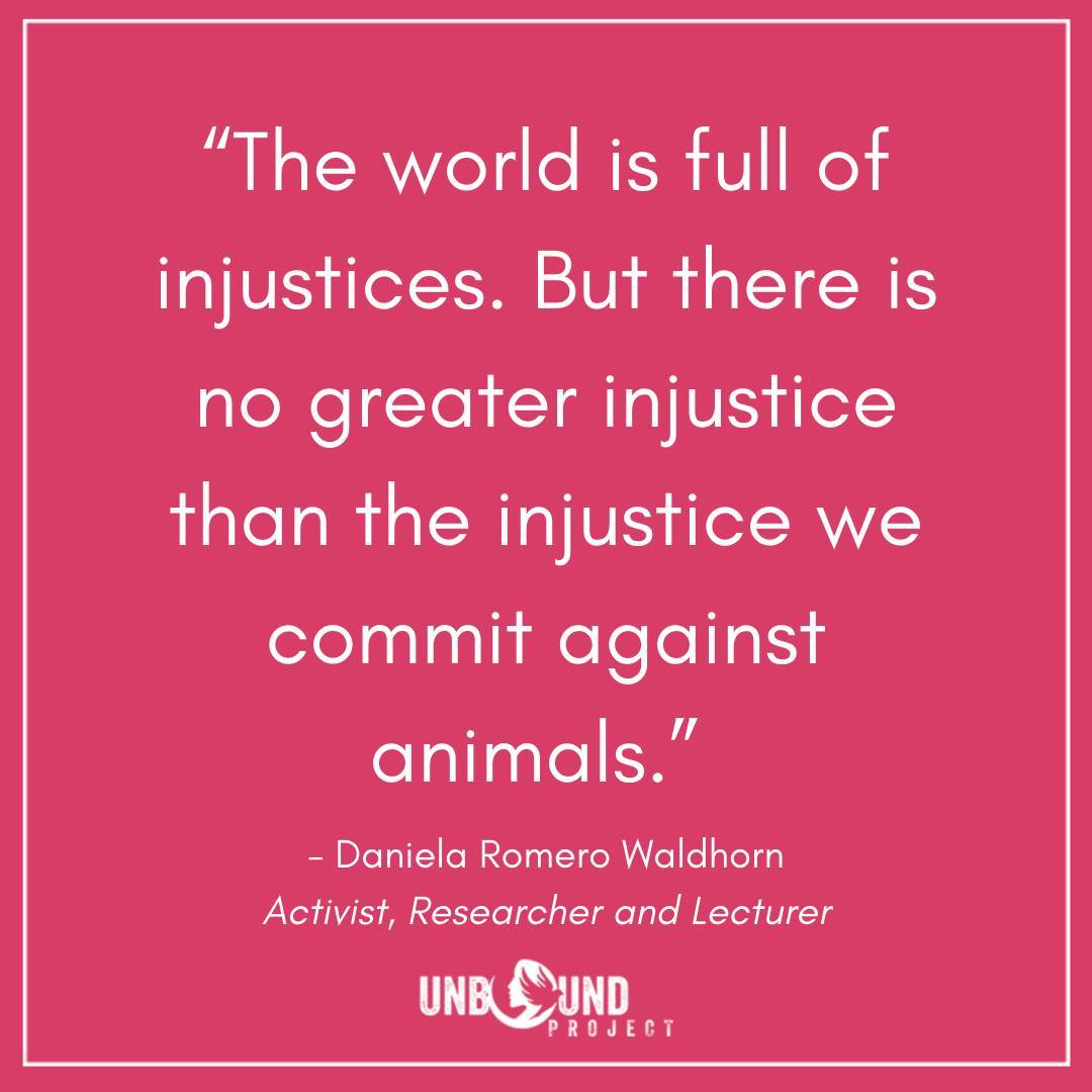 unboundproject's tweet photo. We loved chatting with #UnboundProjectFeature @DanielaRomeroW on Instagram Live last month.
➡️ Watch the full talk with Daniela on our Instagram IGTV (@Unbound_Project). Learn about her work as a researcher and her contributions to #AnimalWelfare.
#WomenInAnimalAdvocacy https://t.co/IrOk6hA2N7