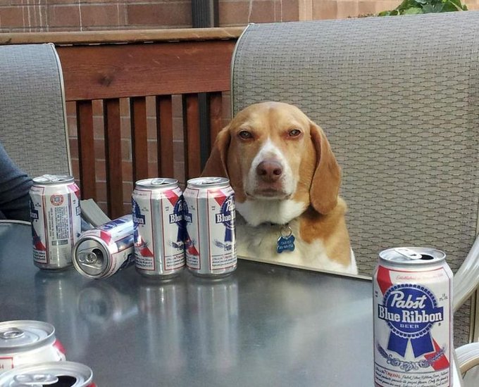 classiflied77's tweet photo. "yeah, I escaped the Fauci experiments, that's why I drink, to forget" https://t.co/XsjMT9OJzP