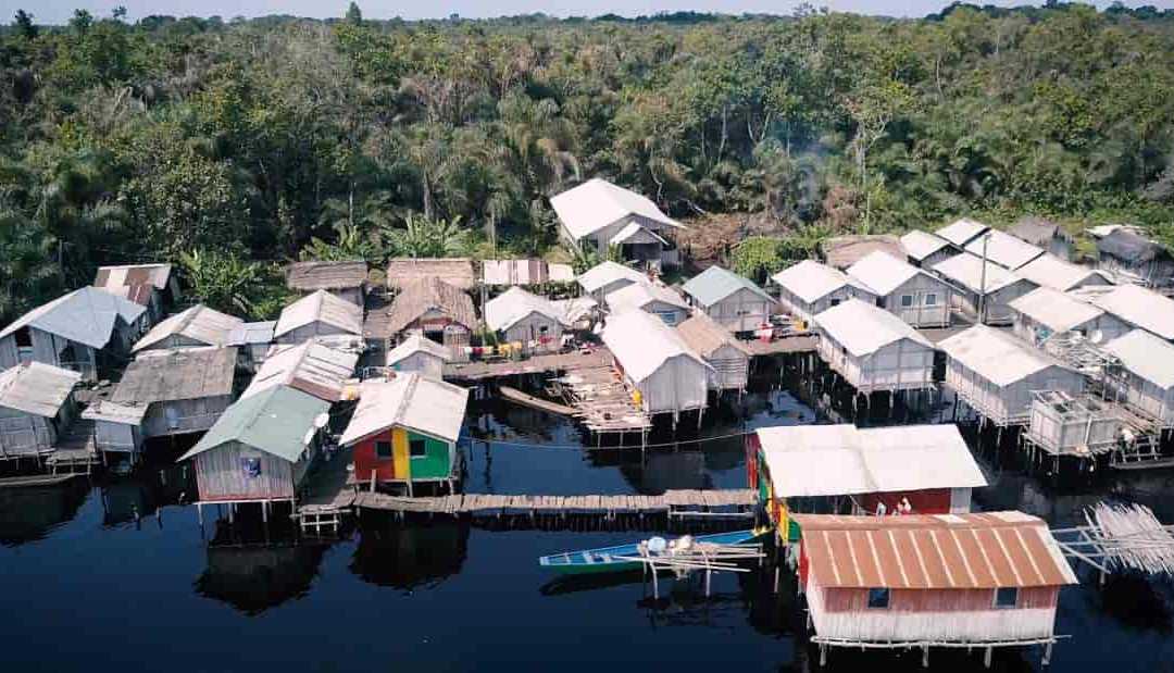 Saharan-sub (🦊,🦊) tweet media