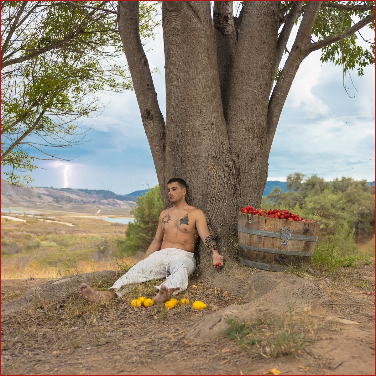 matteastonmusic's tweet photo. “Strawberry Suicide” The Album Out November 19 🍓 https://t.co/5zo8EbgsJX