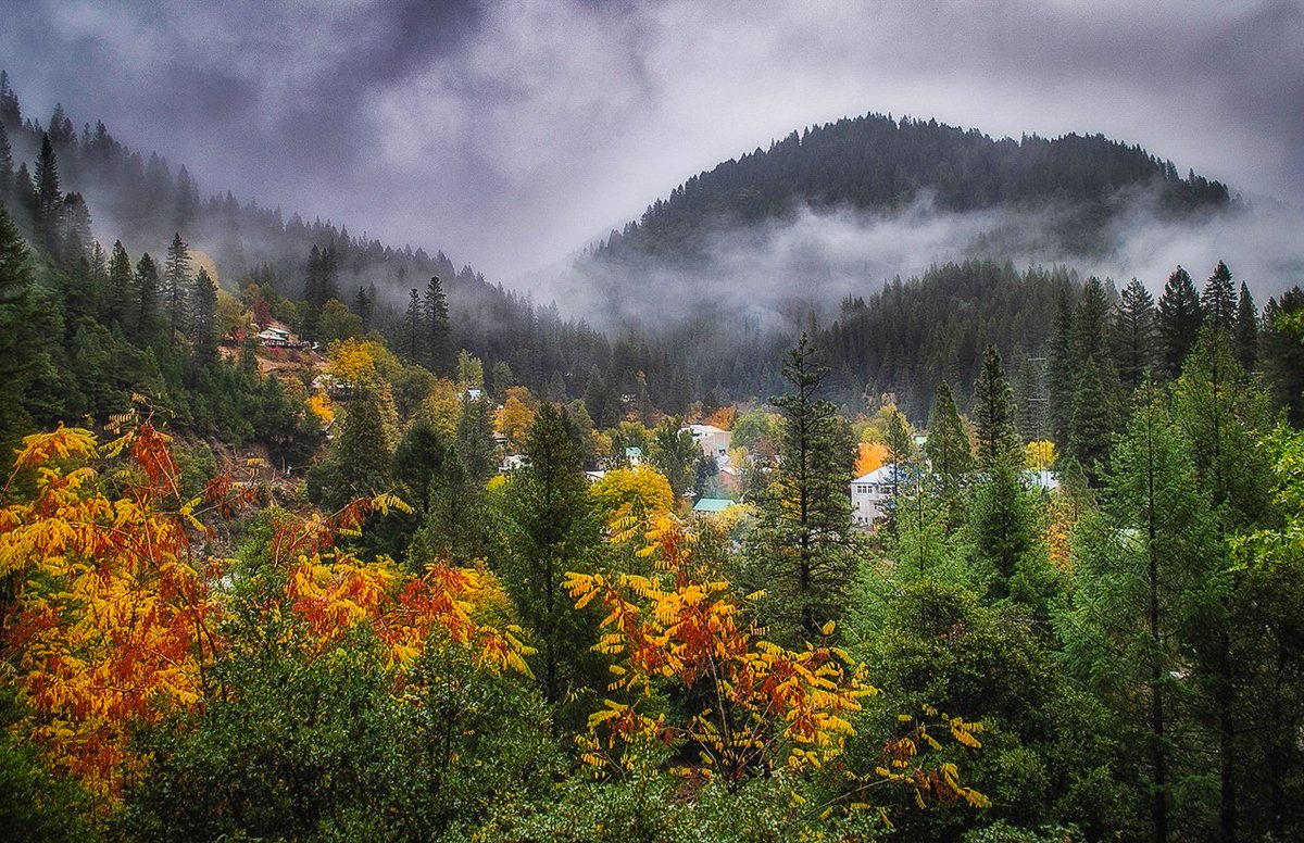 CalifFallColor's tweet image. Gold is being discovered again along CA-49 as reported on CaliforniaFallColor.com #fall #autumn #autumnfalls #autumnleaves #fallcolors #autumnwatch #autumnvibes #GoldRush @VisitCA