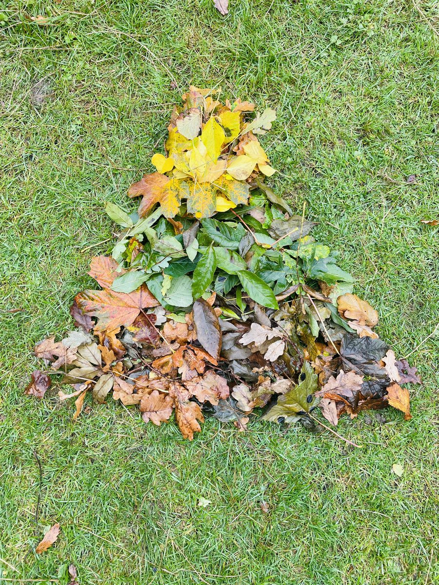 MissFletcher23's tweet photo. Collaborative transient art work, inspired by Andy Goldsworthy. We went for a walk around the local area, collecting different coloured leaves. The groups then decided on a shape they wanted to move the leaves into. An activity we all loved doing. #eyfs #art #utw #psed https://t.co/ofmijN33Kq