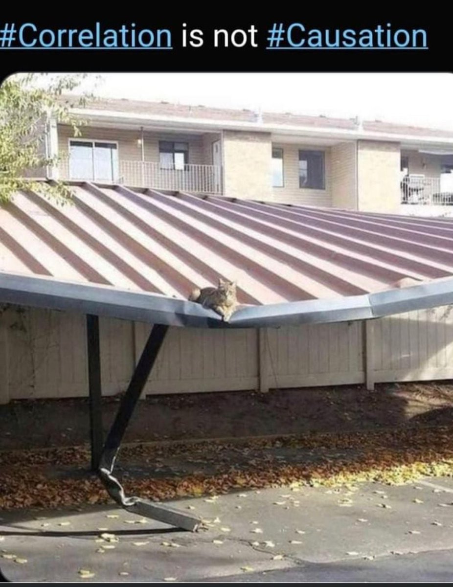 Giovanni (@exergiovanni) on Twitter photo 