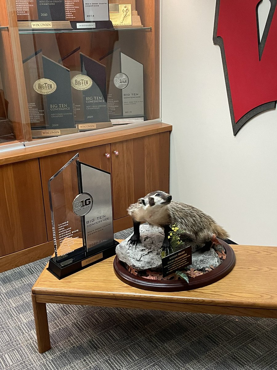 Don’t even think about it says Bucky Badger.