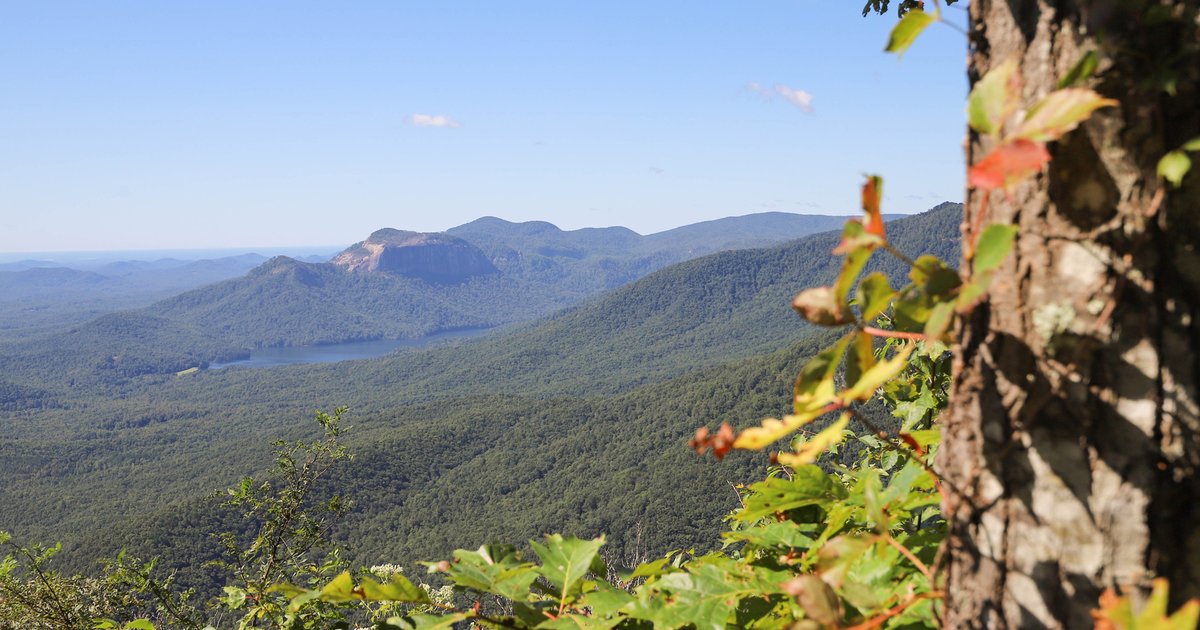 UpstateForever's tweet image. Did you know that more species of trees grow here in the Blue Ridge Escarpment than in all of Europe?