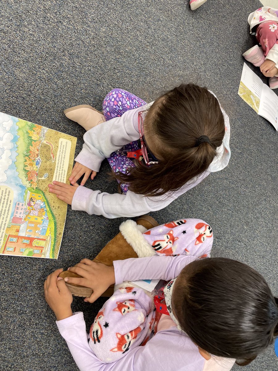 BraaschsBunch's tweet photo. Buscando como los seres vivientes obtienen lo que necesitan.  Looking for how living things get what they need.  #SPDragons95 https://t.co/kgX0v9wHiV