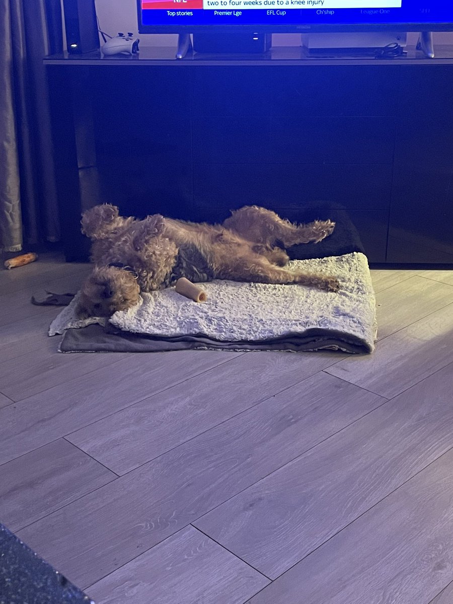 I like to sleep like this a lot😴😴❤️