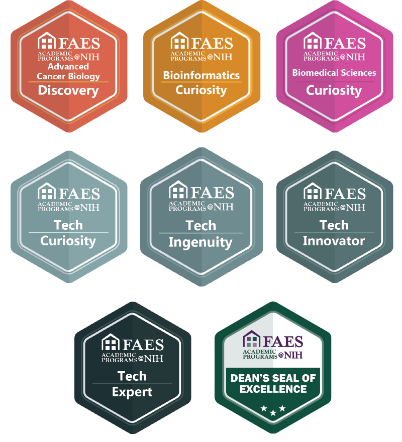 LearnWithFAES's tweet photo. Congratulations to our students who completed #Fall2021, #SessionA and a shoutout to those who have earned or are on the path to earn their FAES #microcredential and #digitalbadge @credly. Keep up the good work! See you in #SessionB
https://t.co/0iSocQnLgM
https://t.co/41d9SQ3sT5 https://t.co/RPSGLmyst6