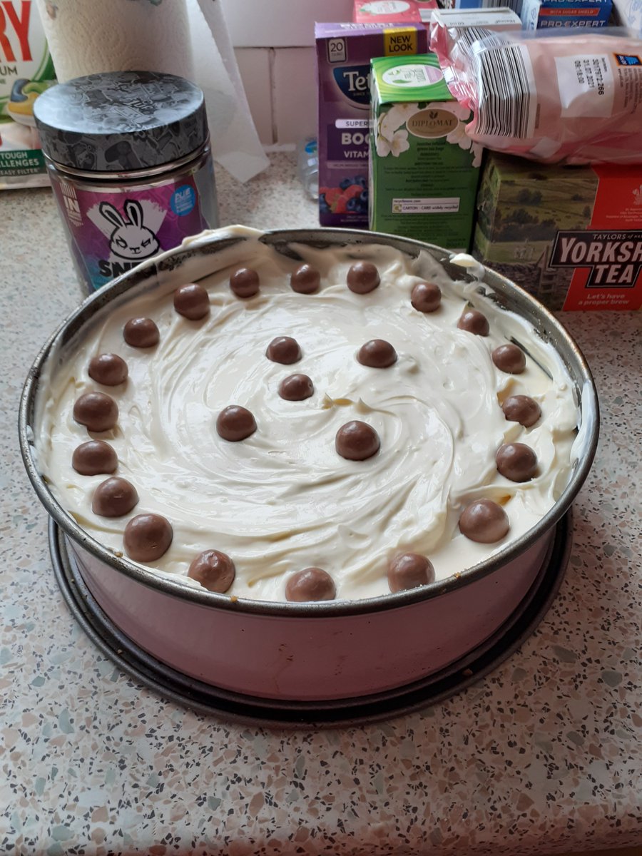 Reignmonday's tweet photo. @peachymiIktea Favourite things: Cheesecake and Otters! <3 https://t.co/bHIkLwo683