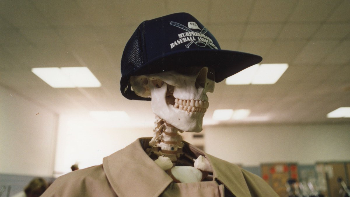 MTSUGoreCenter's tweet photo. You know what's creepy? There's a skeleton inside each and every one of us. 😱

#TrueBoo #HalloweenHomecoming #MTSU https://t.co/gCWie5qt1J