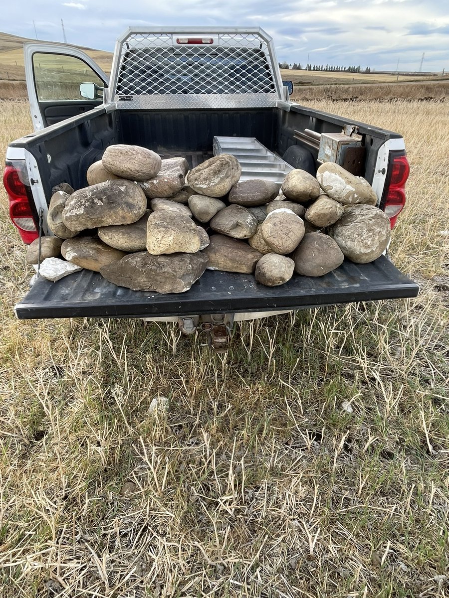 Ken Lepp 🇨🇦 tweet media