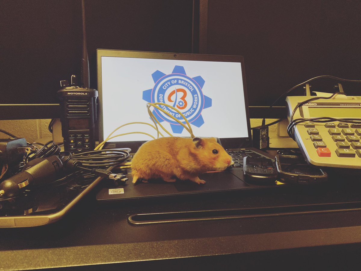 DPW wants to remind all of our residents that this is the LAST weekend for Electronics recycling. Don’t be stuck with them all winter come down, drop them off and then enjoy the farmers market for the last weekend.