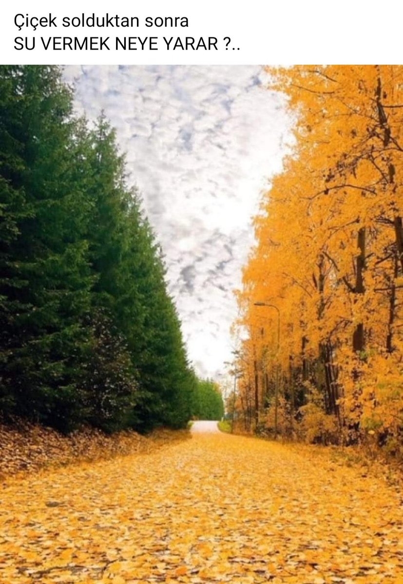 Девушка осень анимация. Осень нас снова встретит осень. Осенний мотив. Осень нас снова встретит осень. Осень грусть.