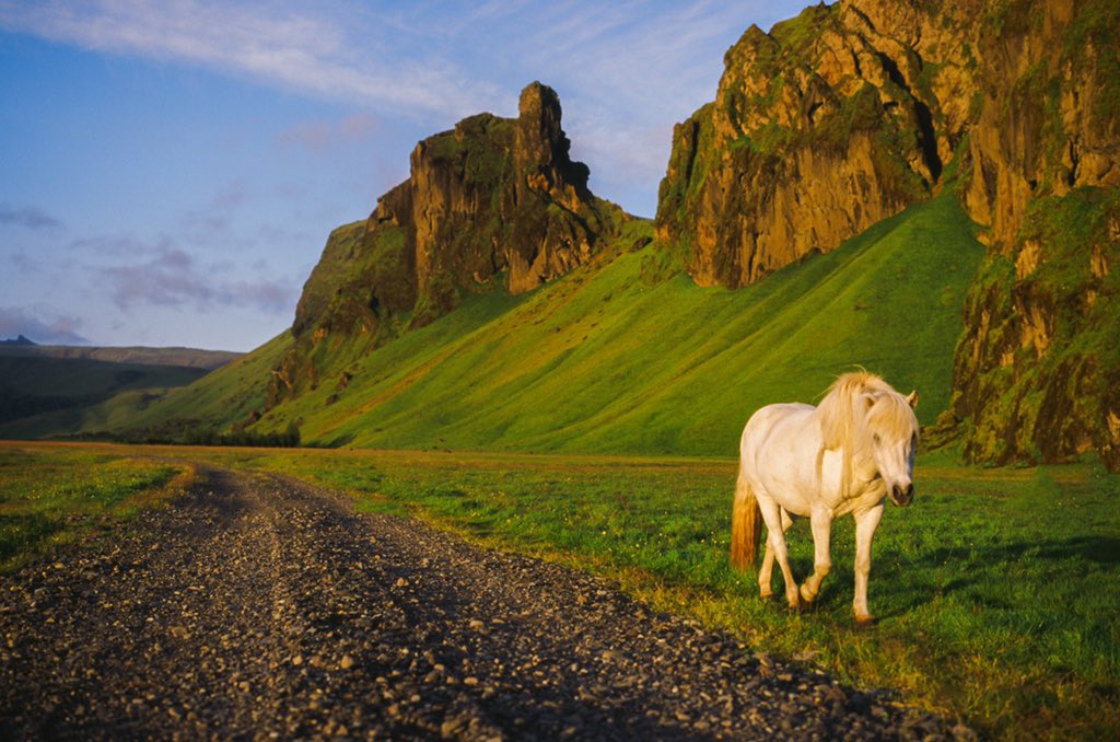 johncwingfield's tweet photo. Icelandic memories, captured on film https://t.co/r2YJPX3C9q