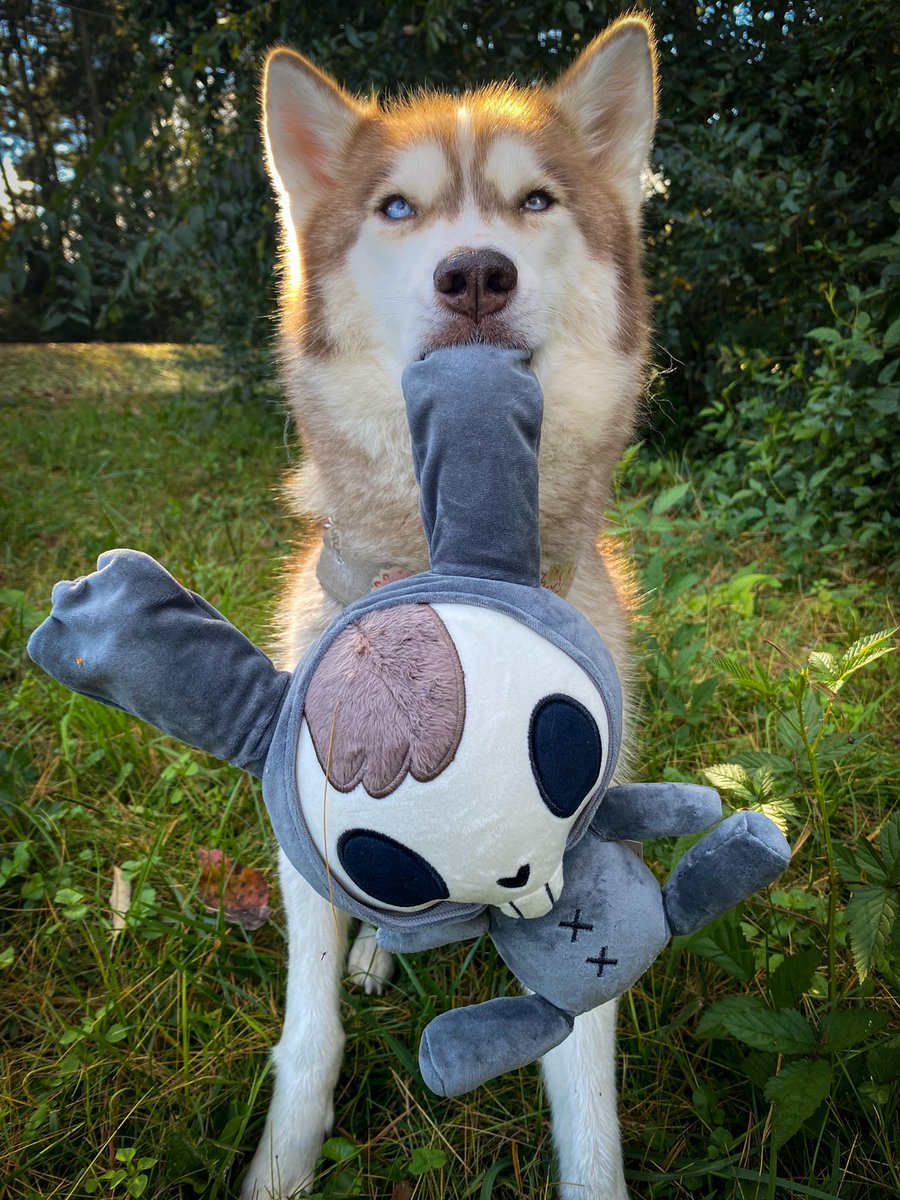 koyotemoone's tweet photo. Can you keep it together for the photo?
β¦ok
@hexbrand @dawkosgames @kovox #hex #hexbrand #hexkai #kai https://t.co/FN6fk58Oxd